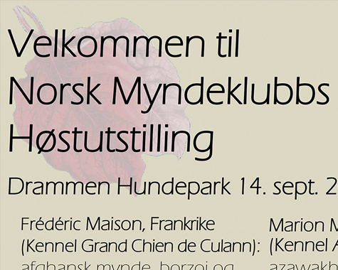 Myndekonferanse