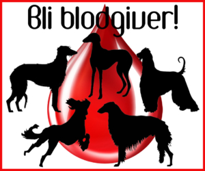 blodgiver mynder 300x250